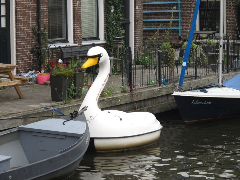 Duck boat