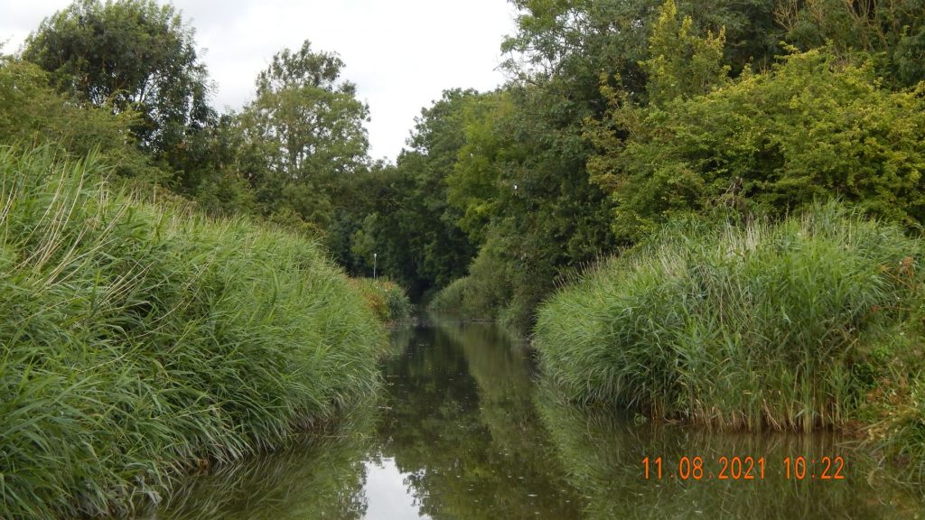 Seriously overgrown stretch of canal